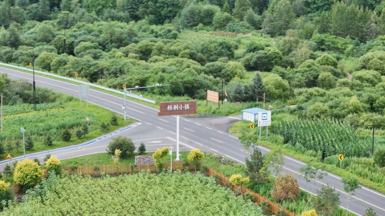 南岔县梧桐镇：深耕旅游+药膳融合发展  打造生态康养旅游新名片
