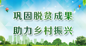 巩固脱贫成果助力乡村振兴